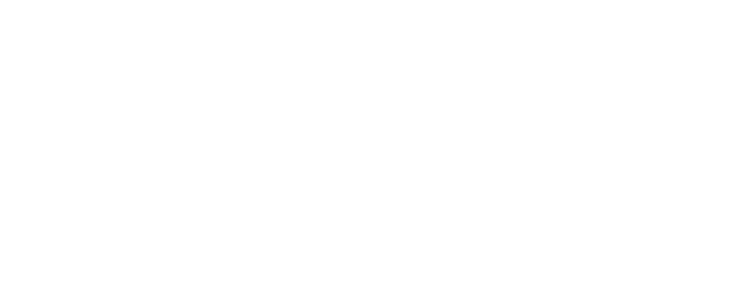 Current wordmark, solid white on red
